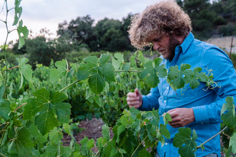 A Conversation with Bertus&nbsp;van&nbsp;Zyl