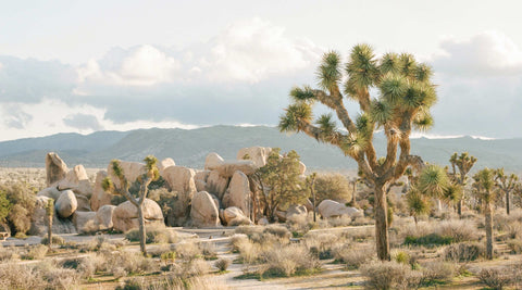 Through the Lens with&nbsp;Corey&nbsp;Wolfenbarger