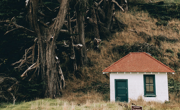 A small, white, red-roofed building next to some large coastal trees.