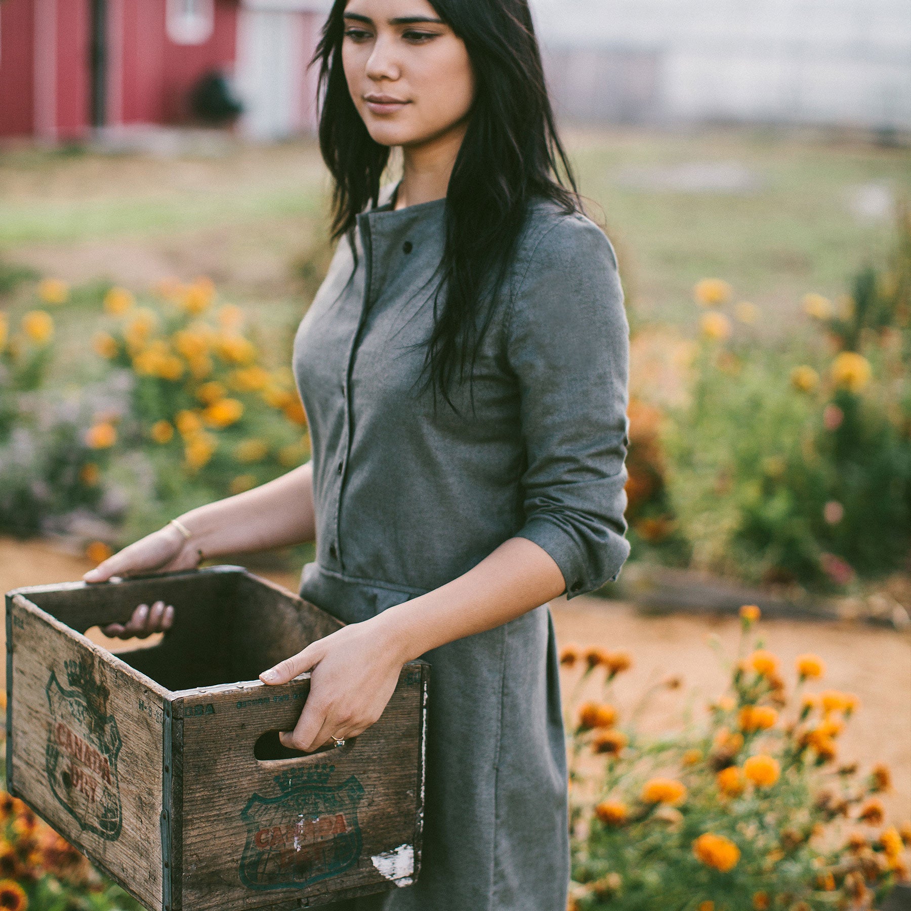 The Juniper Dress in Sage Brushed Cotton: Alternate Image 1, Dresses by Taylor Stitch