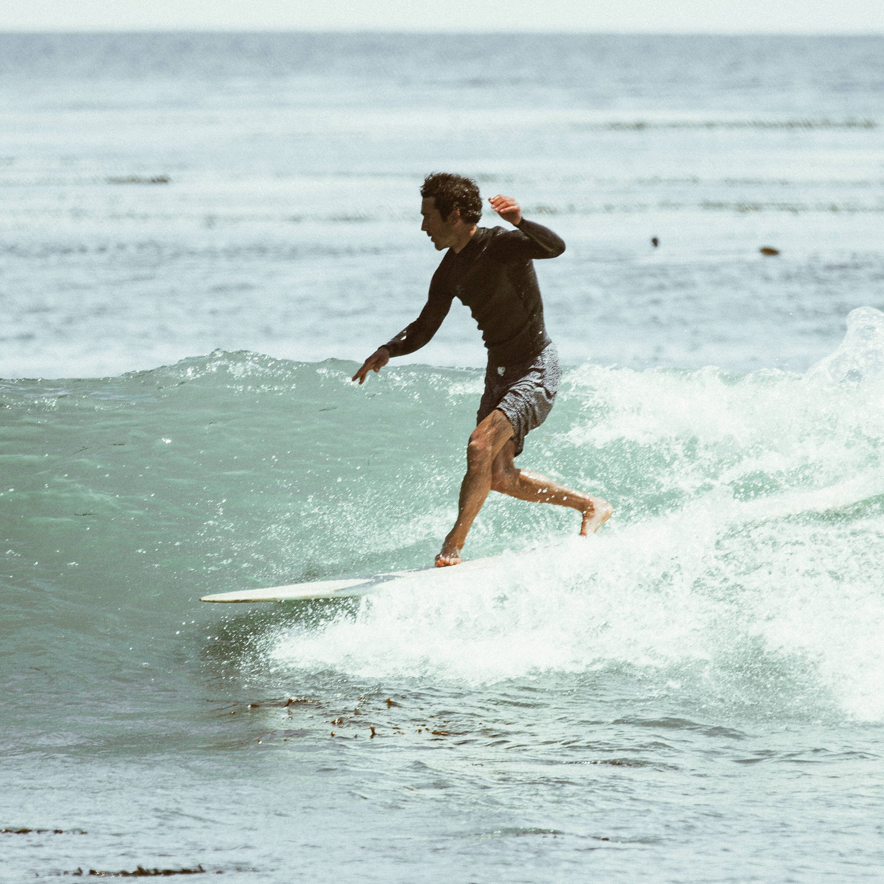 The Boardshort in Black & White Print: Alternate Image 3, Shorts by Taylor Stitch