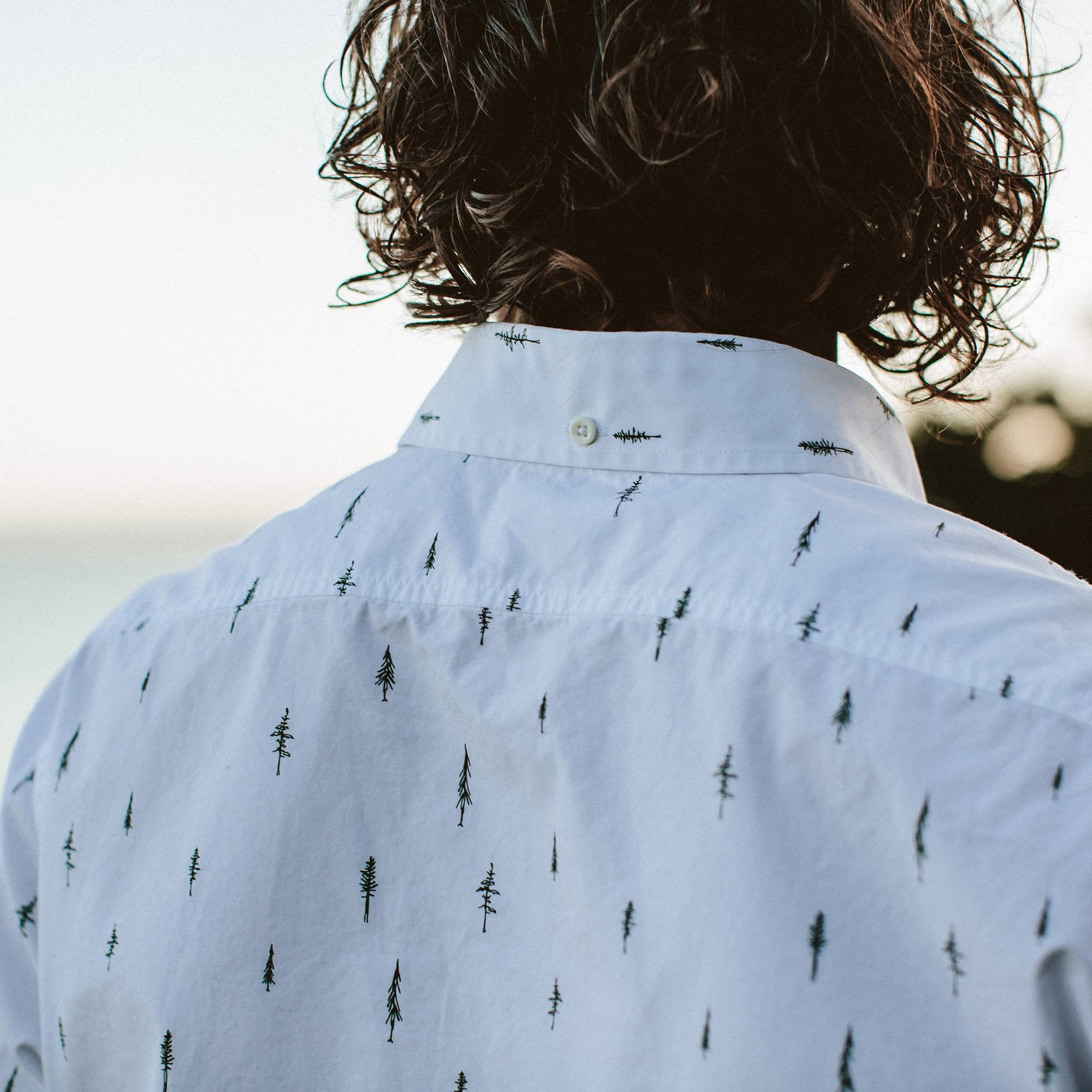 The Short Sleeve Jack in Tree Top Poplin: Alternate Image 2, Wovens by Taylor Stitch