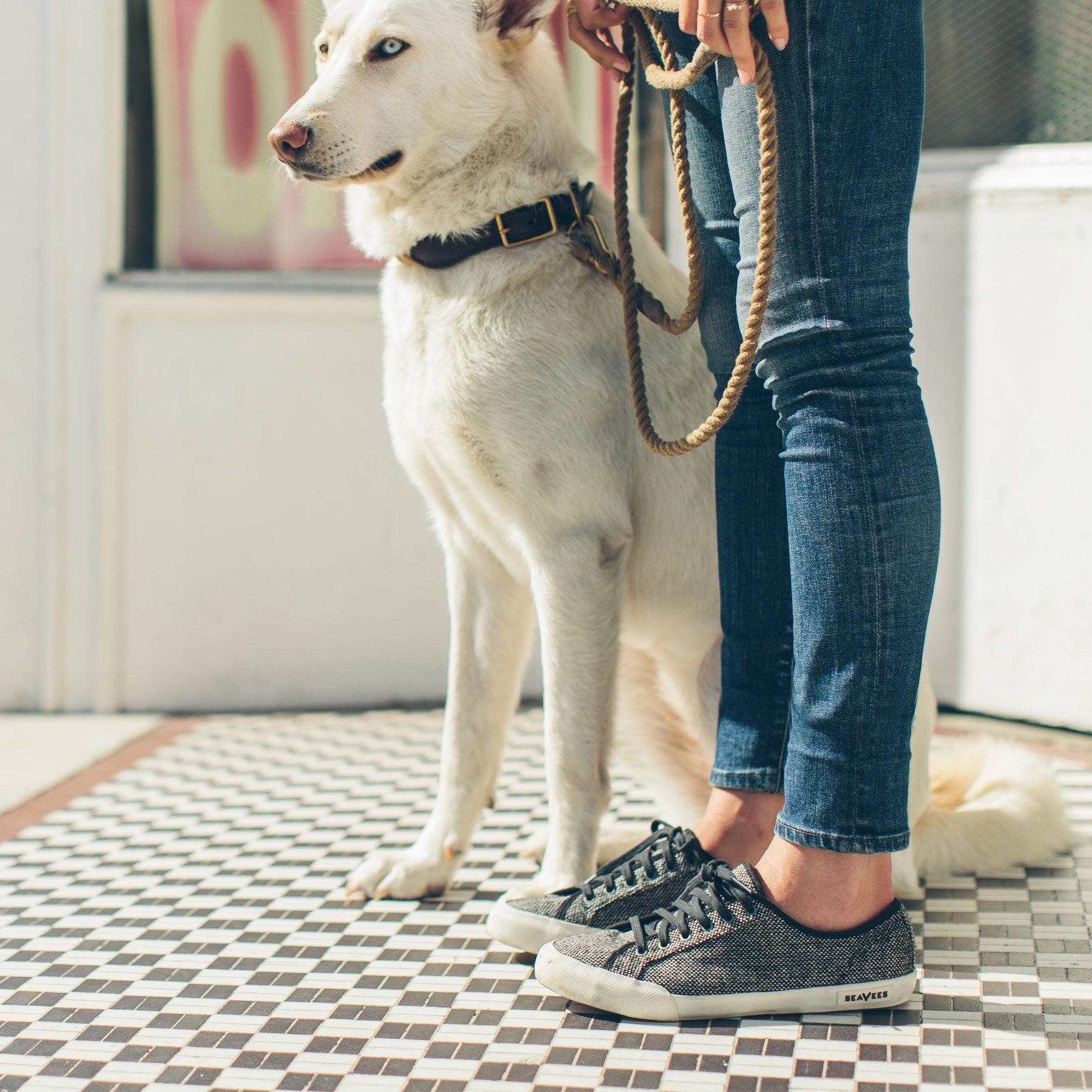 The Monterey Sneaker in Woolen Tweed: Alternate Image 6, Footwear by Taylor Stitch